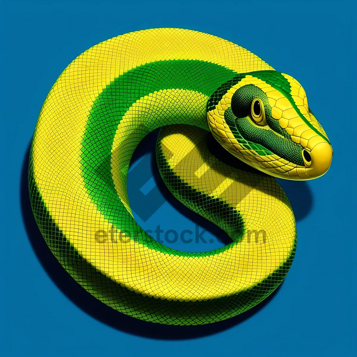 Picture of Green Mamba Reptile Snake Wildlife Sign Vine