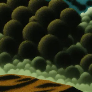 Tropical Reef Dive with Anemone Fish