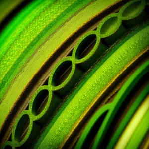 Green Snake Pattern on Vine - Exquisite Design