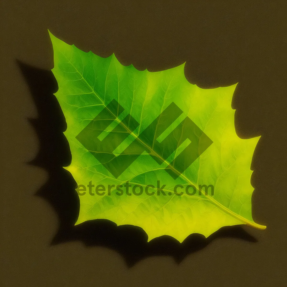 Picture of Fresh Leafy Cabbage Fractal: Vibrant Plant Wallpaper
