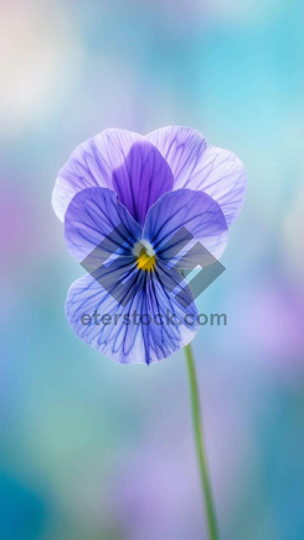 Picture of Colorful flax flower in bright plant design.