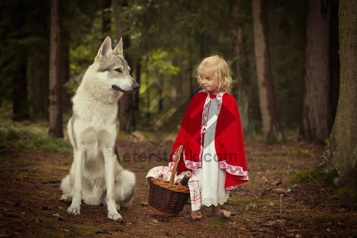 Picture of Cute Feline and Canine Friends in the Wild