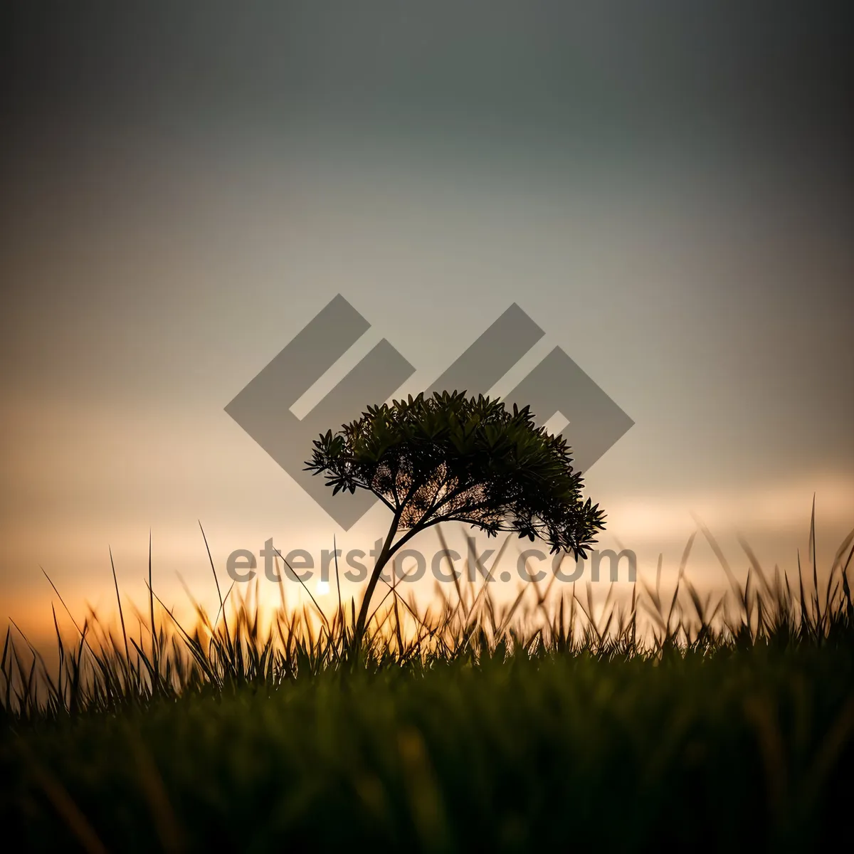 Picture of Radiant Meadows: Sunlit Landscape with Sunny Skies and Lush Grass