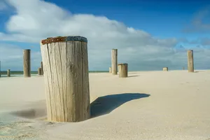 Beachfront container bin with ocean view