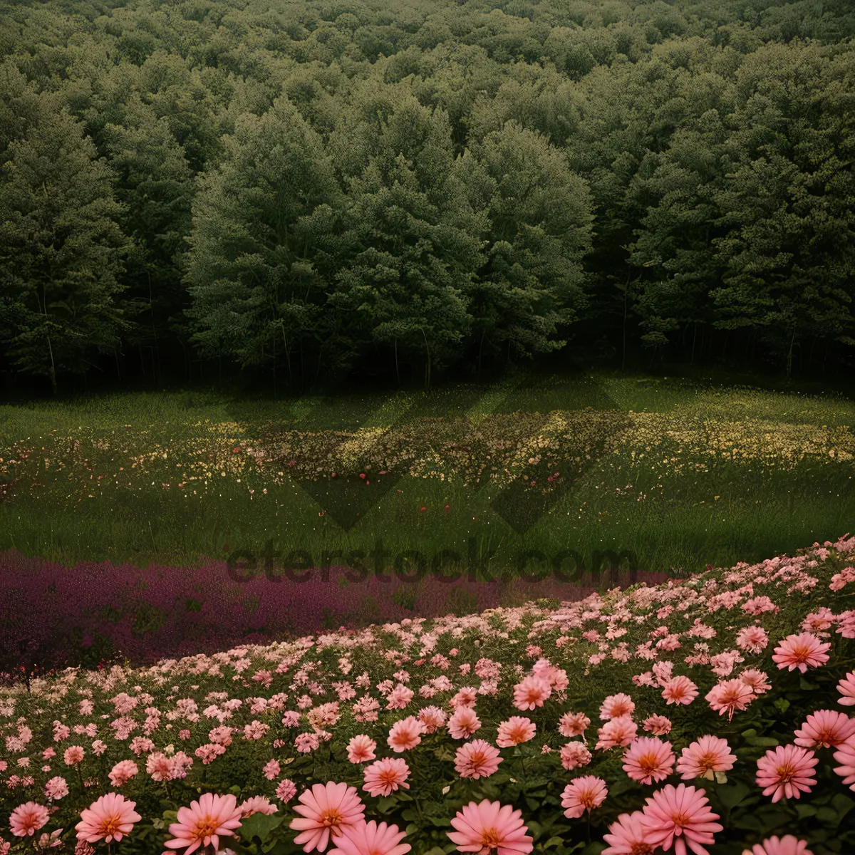 Picture of Colorful Spring Blooms in Park Landscape