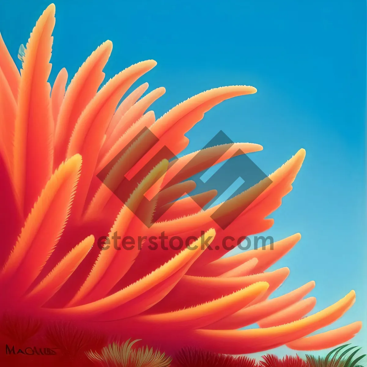 Picture of Vibrant Orange Floral Daisy Bloom in Garden