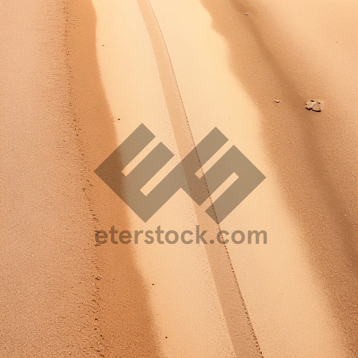 Picture of Desert Dune Texture Shower Curtain