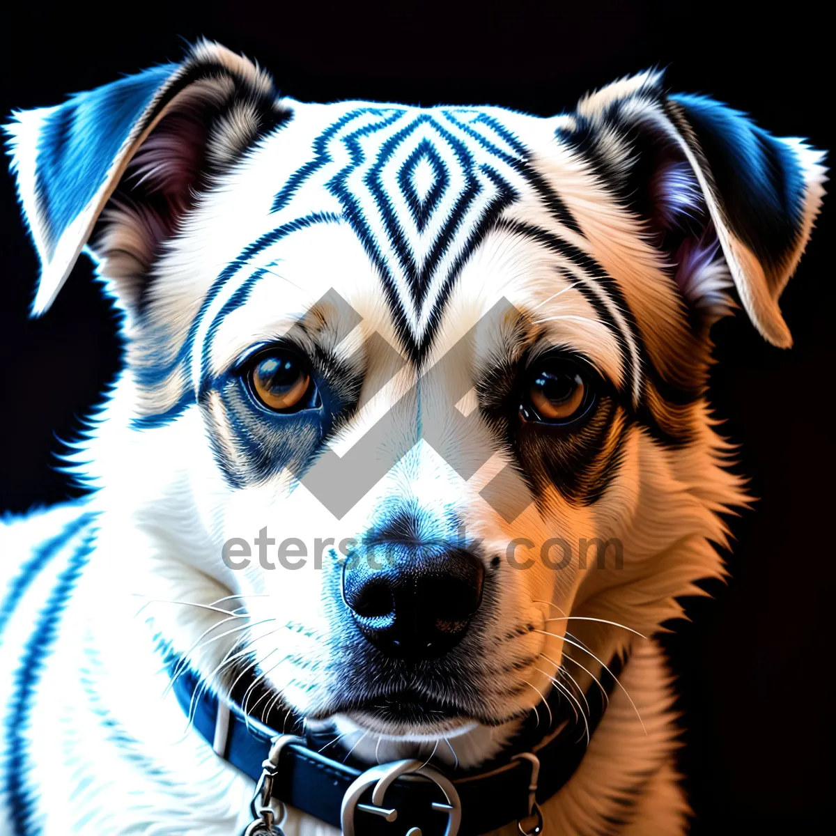 Picture of Black Border Collie Puppy: Adorable Canine Portrait