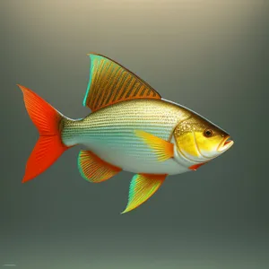 Golden Fin - Tropical Fish Swims in Aquarium Bowl