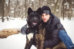 Portrait of a German Shepherd Dog in Winter Snow