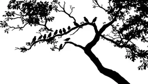 Silhouette of oak tree against cloudy sky