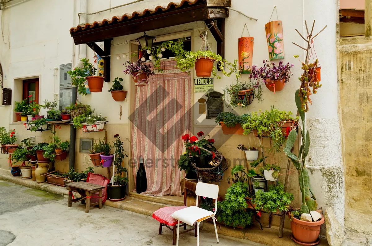 Picture of Beautiful Home Exterior with Table and Garden Décor