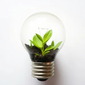 Green energy glass sphere plant leaf bulb