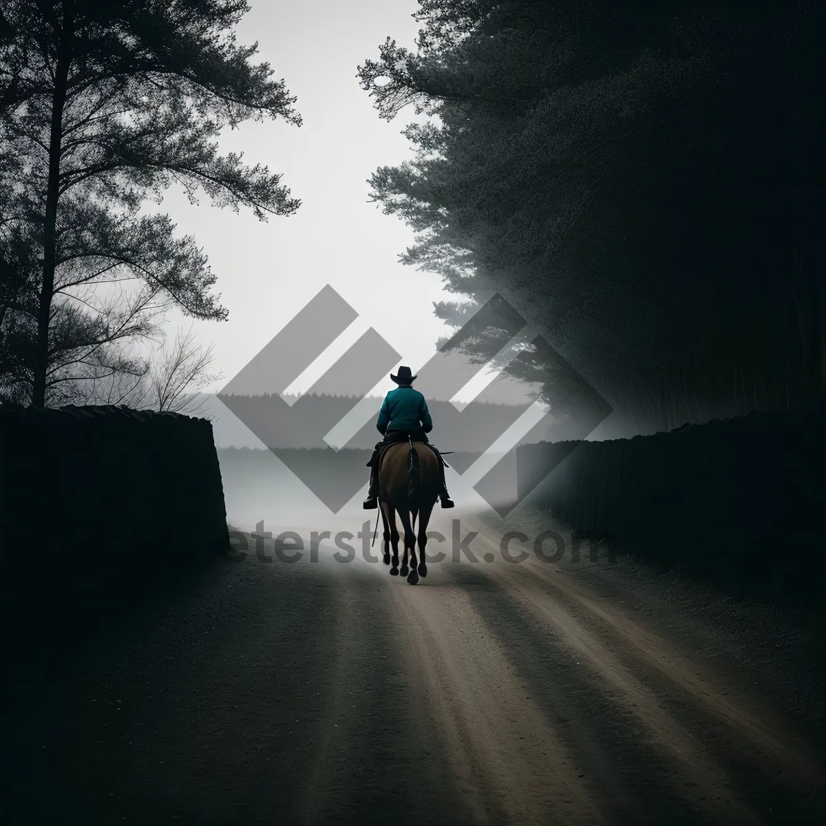 Picture of Sunset Cyclist on a Bicycle-Built-for-Two