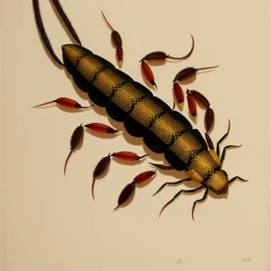 Eerie Earwig Close-Up: Intriguing Invertebrate Arthropod