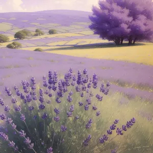 Vibrant purple lavender flowers in mesmerizing landscape.