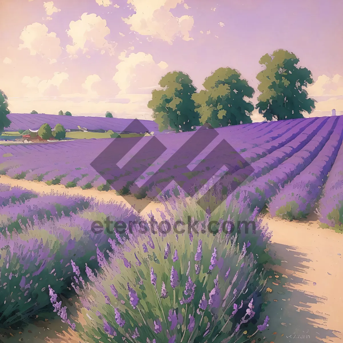 Picture of Colorful Lavender Meadow in Rural Landscape+