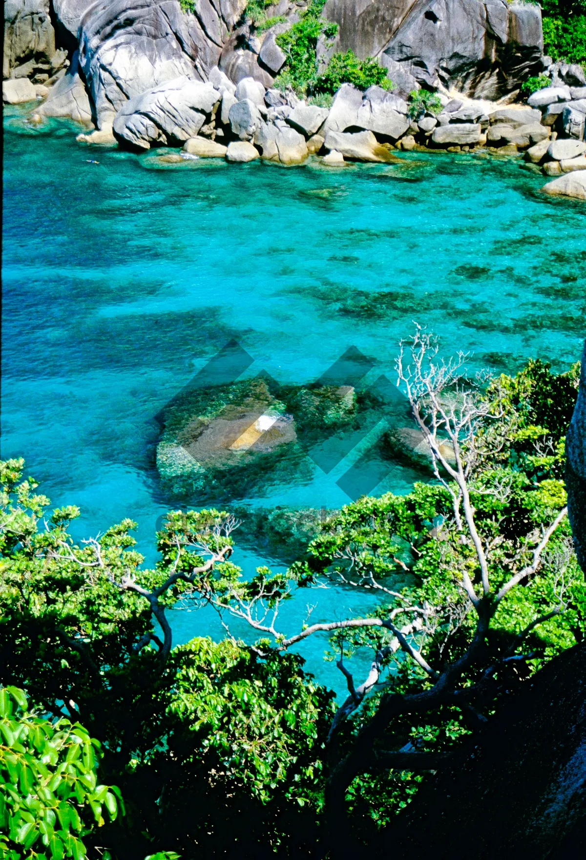 Picture of The colors and crystal clear water of the archipelago of the Similan Islands National Park, Thailand, Asia