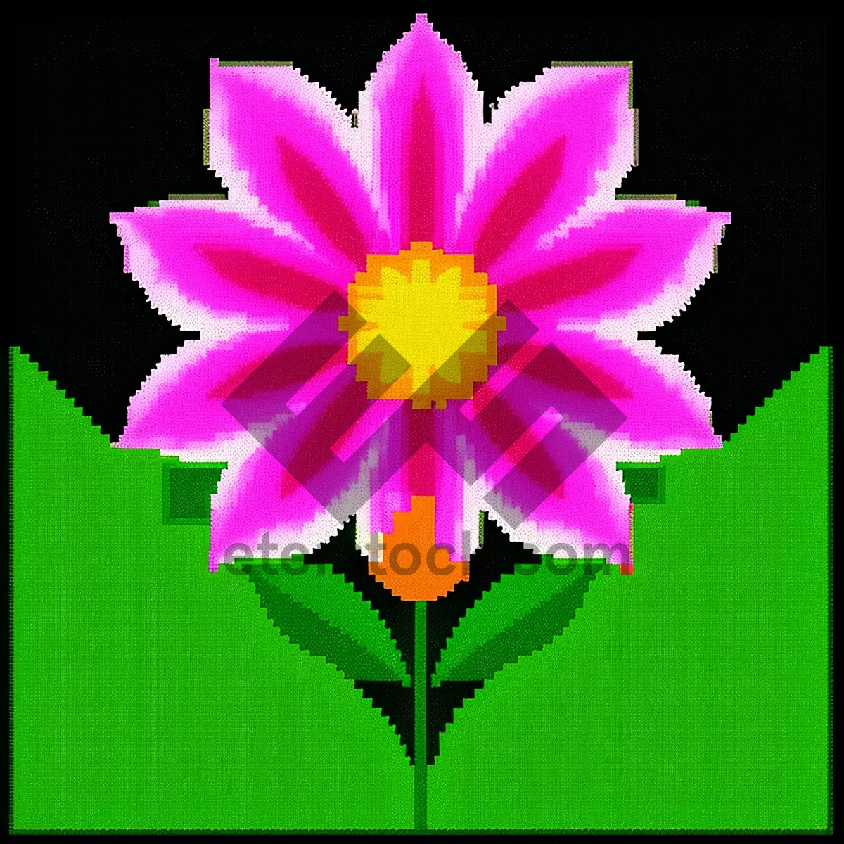 Picture of Pink Lotus Blossom in Full Bloom
