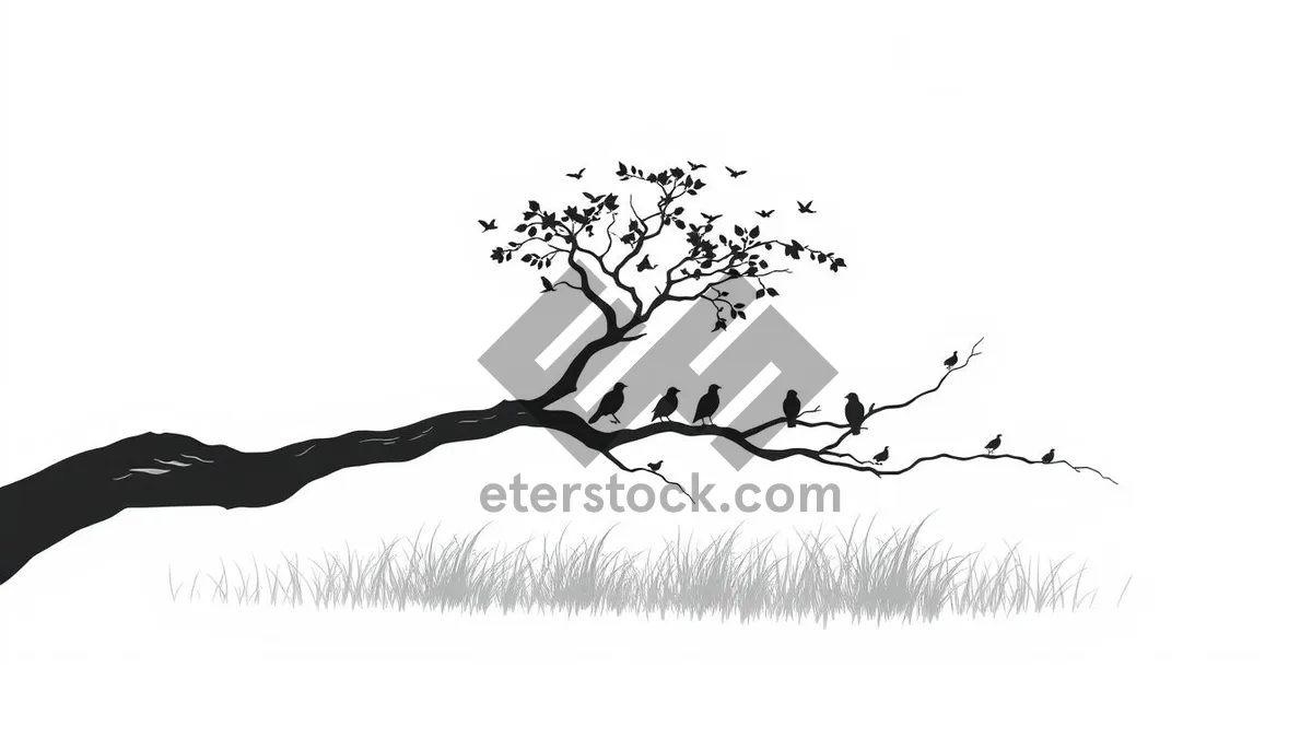 Picture of Black floral tree silhouette design with outlines