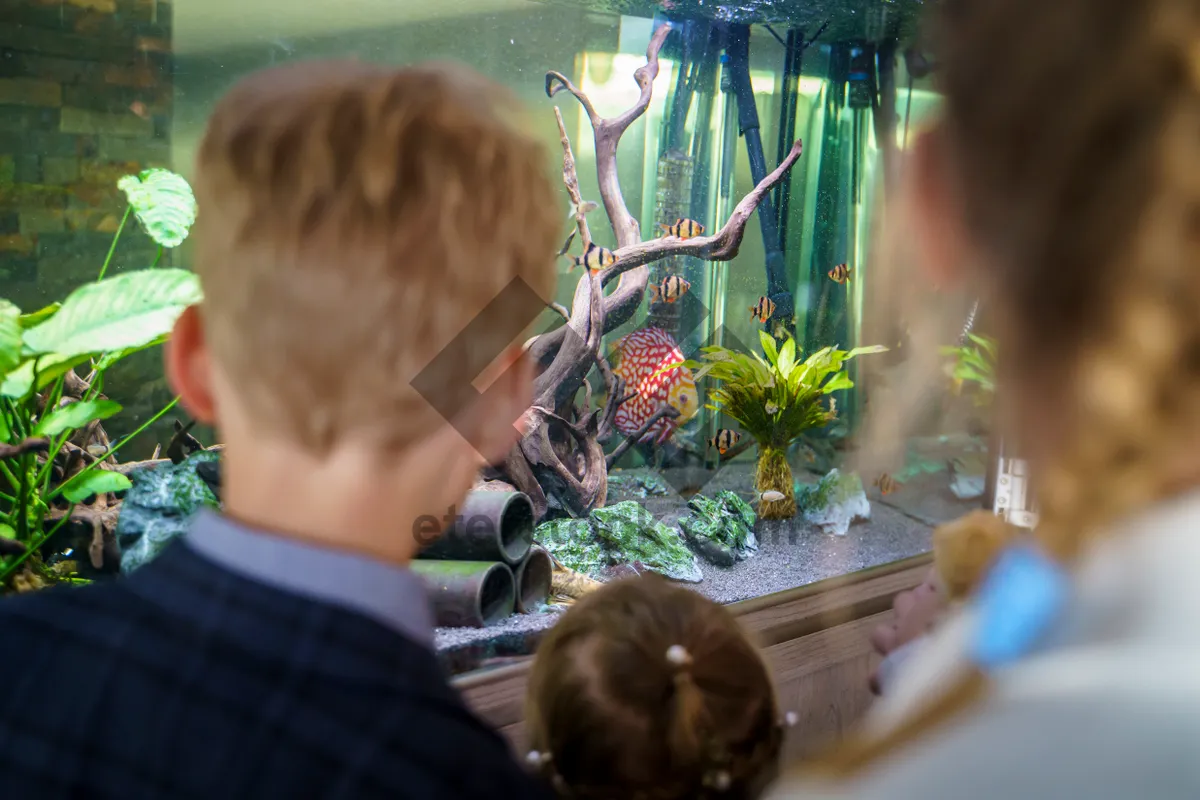 Picture of Child looking at fish in aquarium.