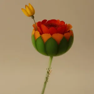 Vibrant Spring Tulip Bouquet in Full Bloom