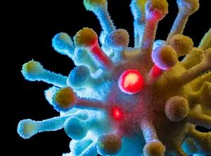 Tropical sea slug on coral reef underwater habitat.