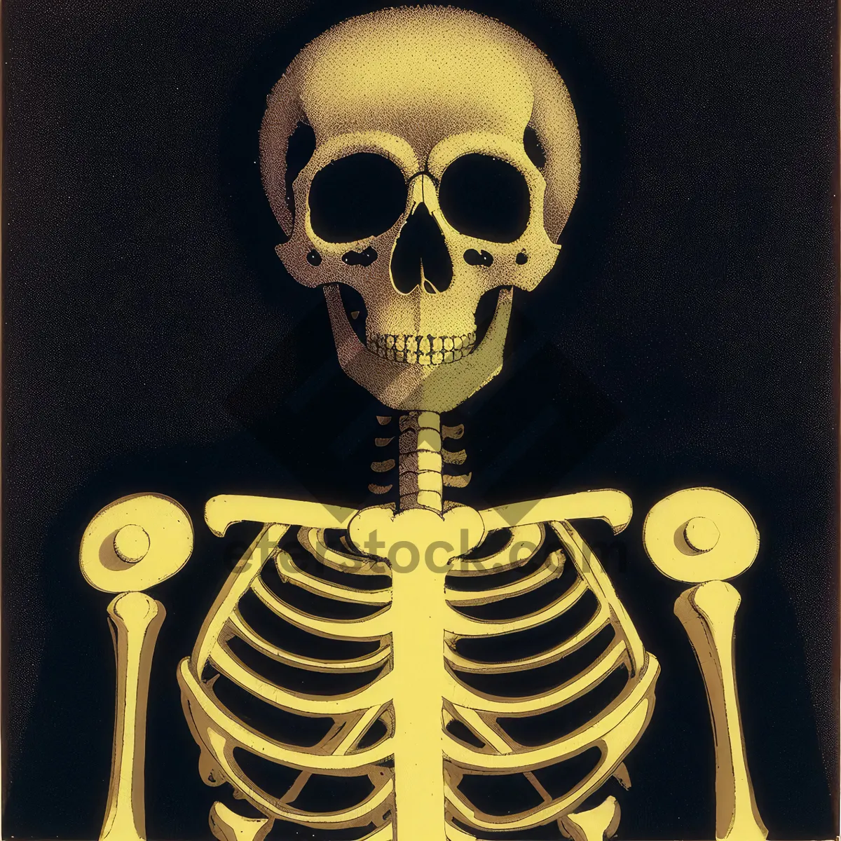 Picture of Spooky Skull: Anatomical Halloween Skeleton Mask