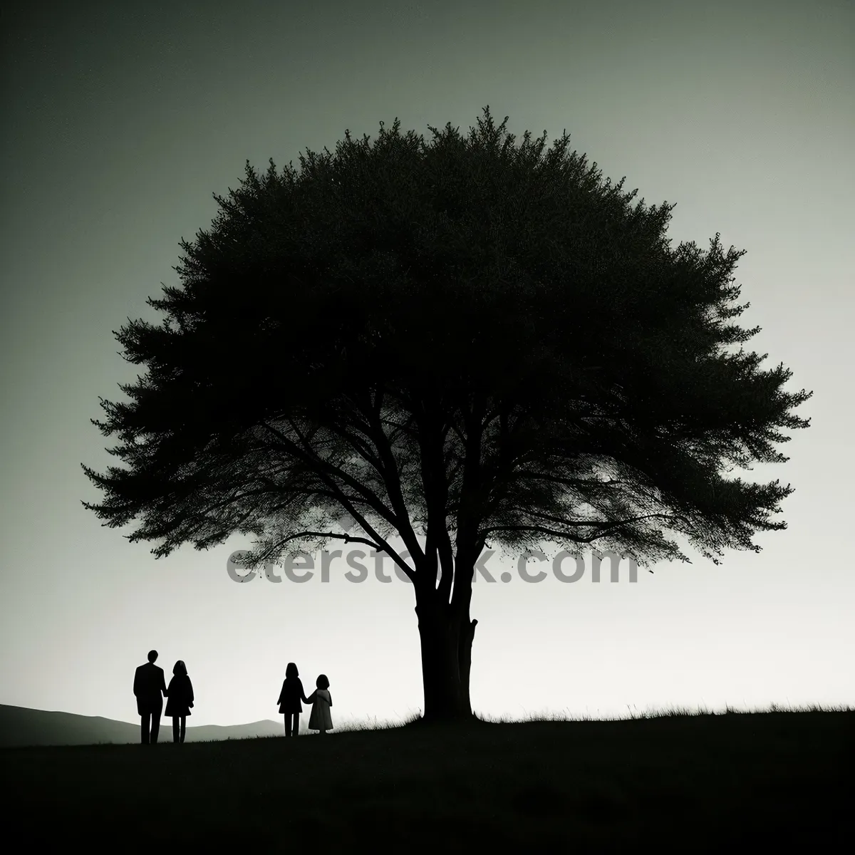 Picture of Sunset Silhouette: Majestic Yucca Tree in the Scenic Landscape