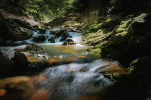 Cascading Waterfall in Mountainous Wilderness Landscape