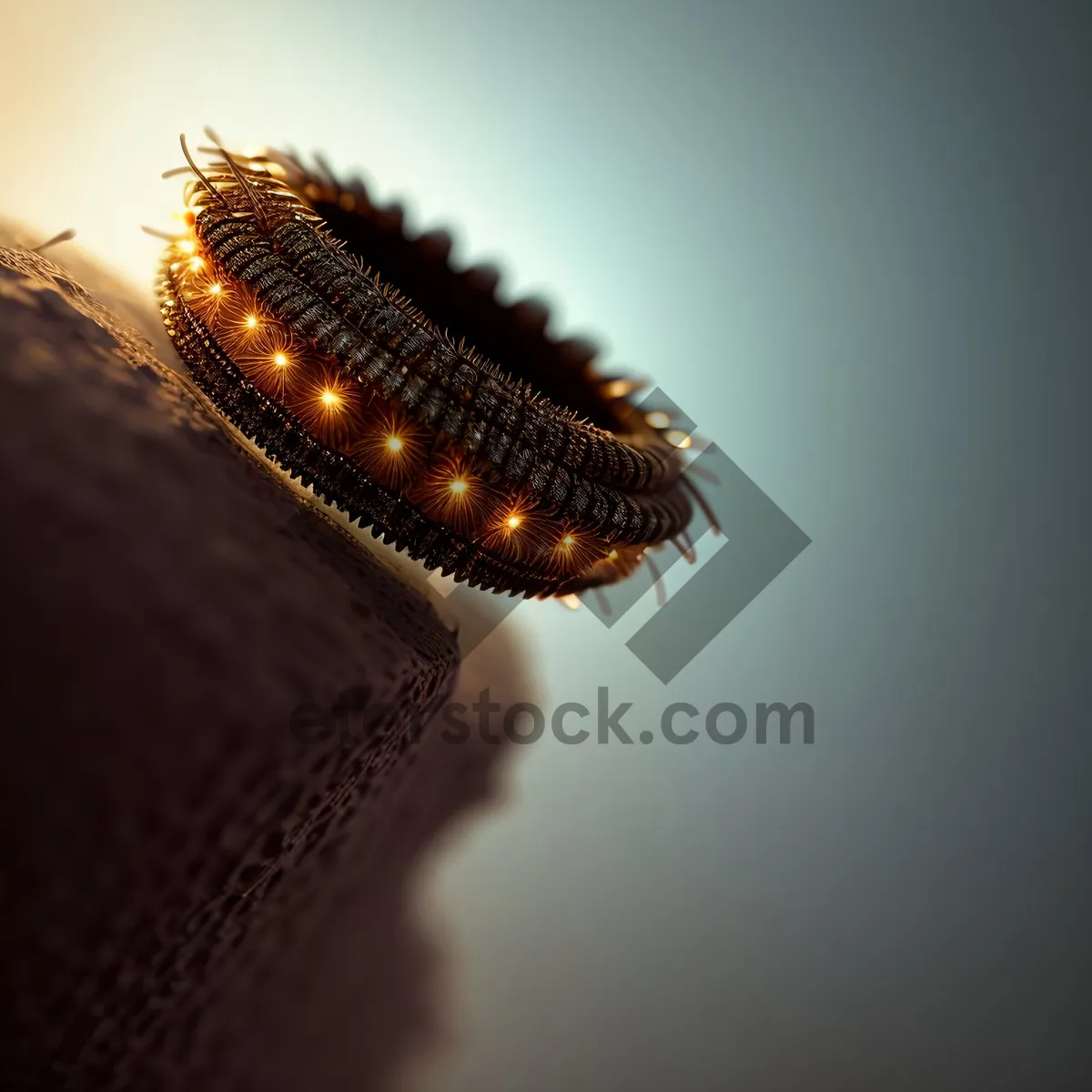 Picture of Arthropod Closeup: Millipede's Intricate Eye View