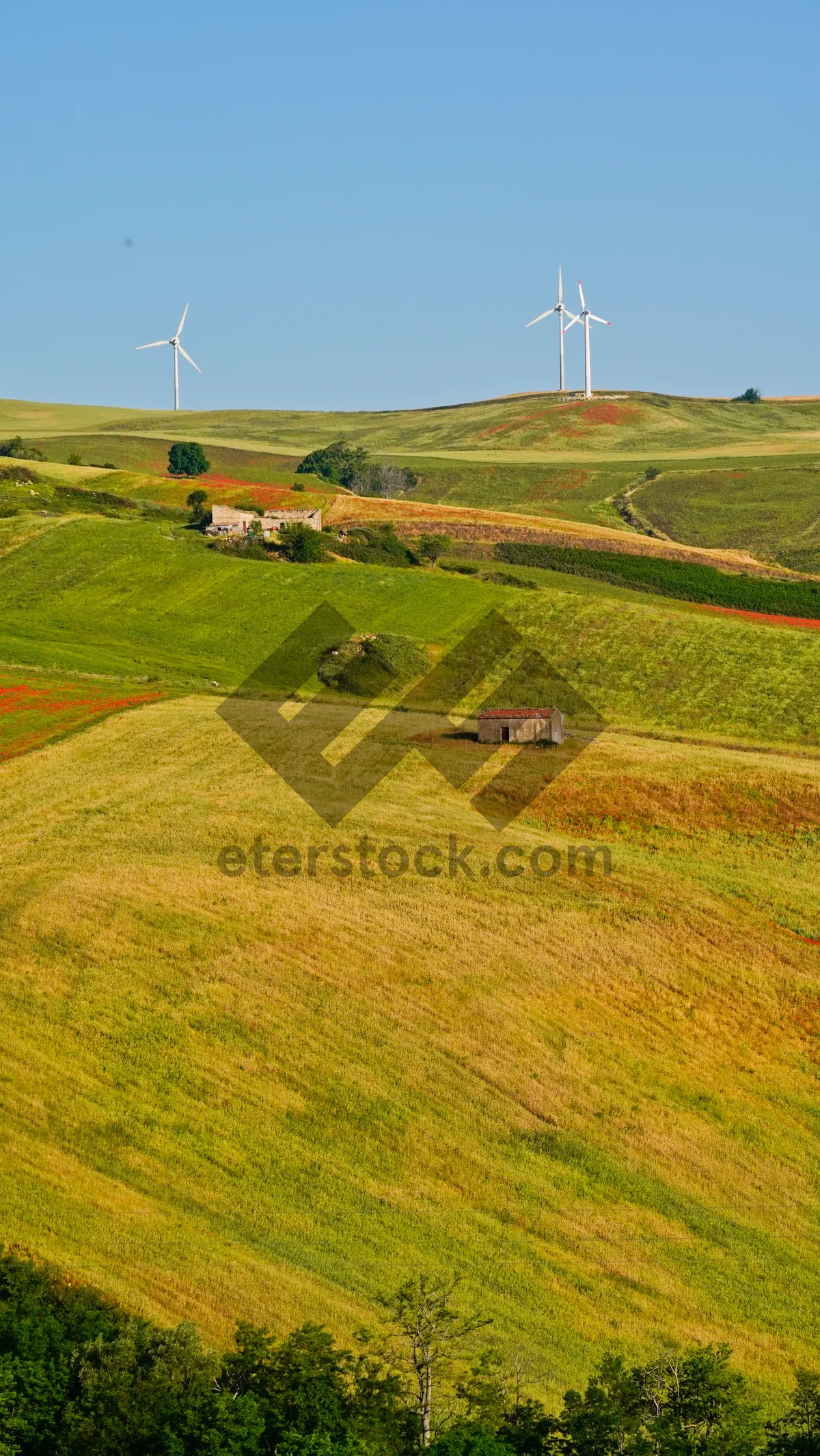 Picture of Summer landscape with clouds on rural hill.