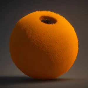 Refreshing and Juicy Navel Orange