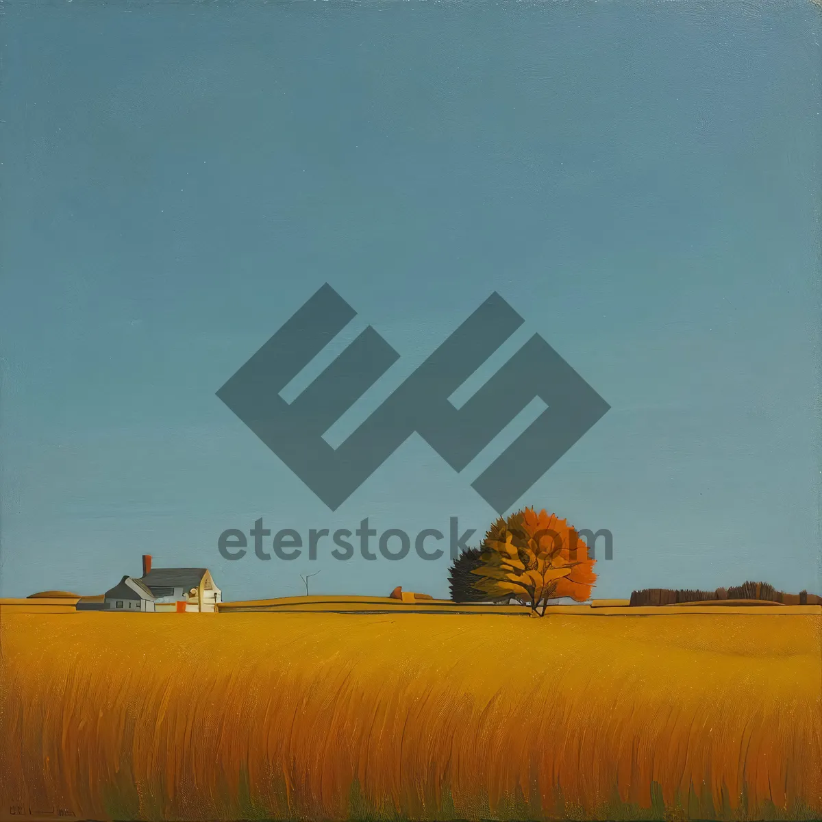 Picture of Golden meadow at sunset with tractor harvesting crops.