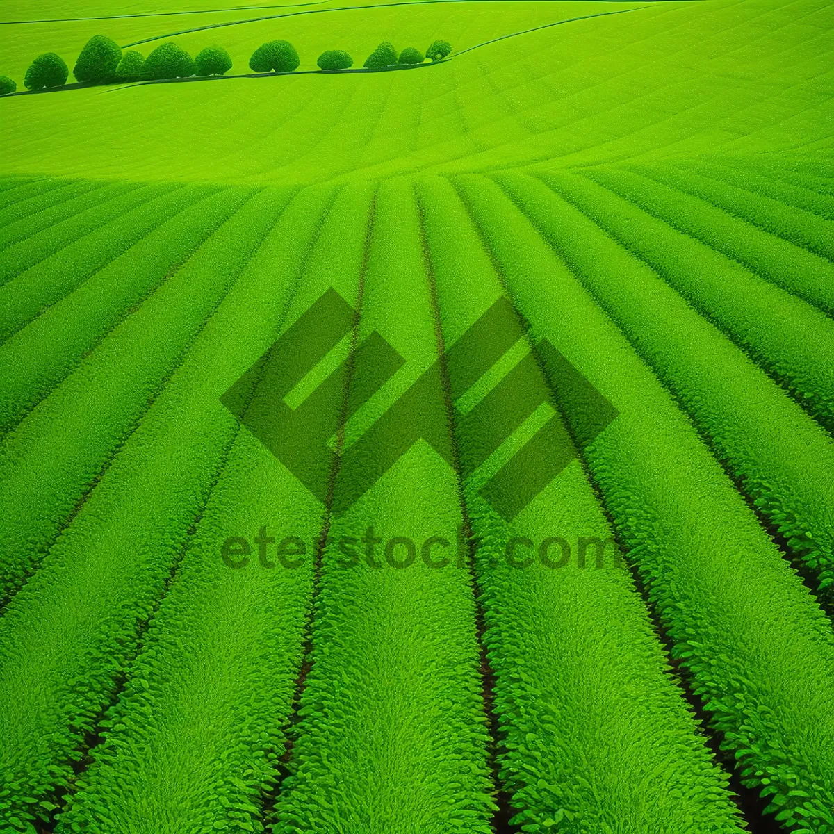 Picture of Vibrant Greenery: Textured Pattern Wallpaper Design