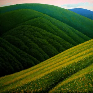 Sprawling farmland under a clear sky