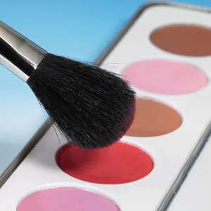 Makeup brush set for colorful cosmetic care.