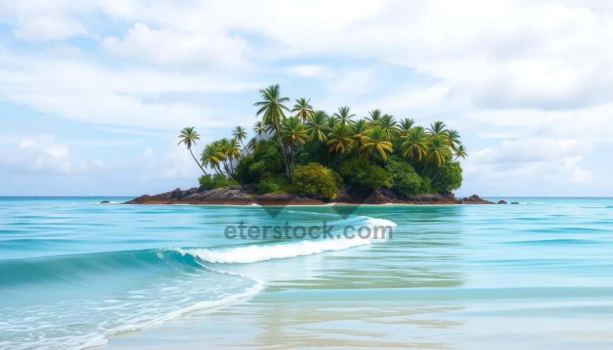 Picture of Tropical paradise beach with palm trees and crystal clear water