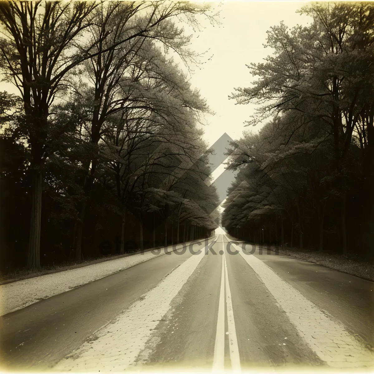 Picture of Scenic Highway with Mechanical Sprinkler on Asphalt