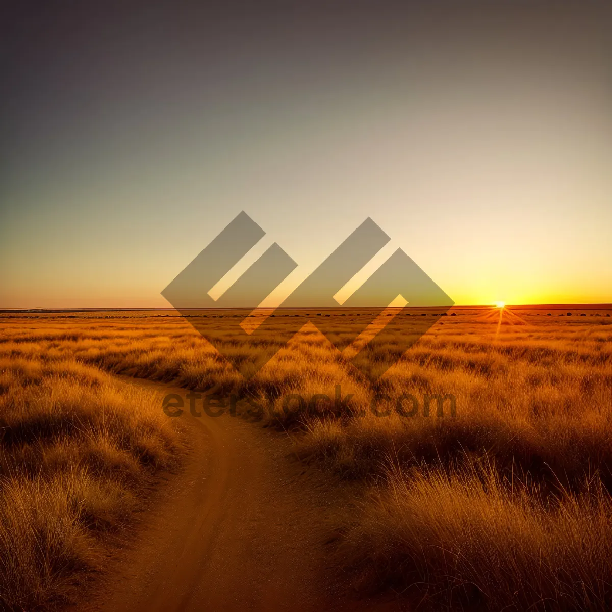 Picture of Golden Horizon: Majestic Sunset Over Desert Landscape