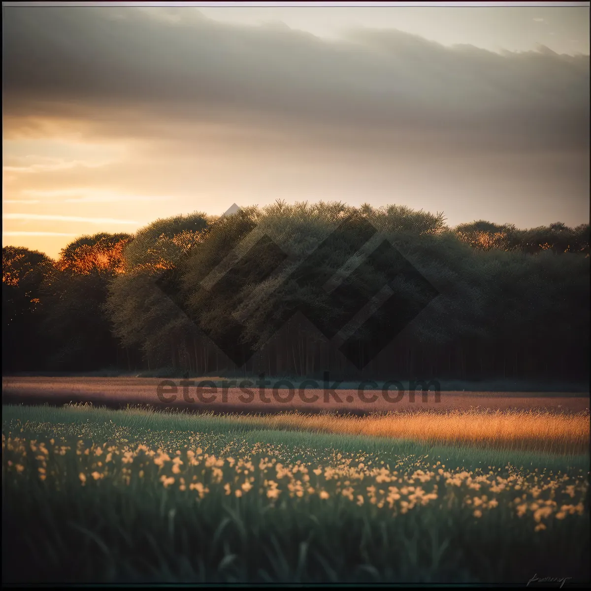 Picture of Serenity in the Countryside
