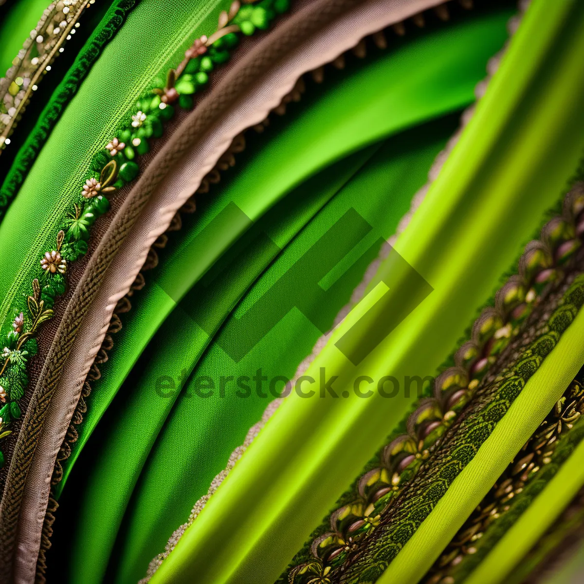 Picture of Agave Desert Plant: Vibrant Leaf Pattern with Textured Colors