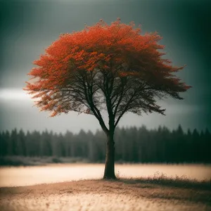 Rustic Autumn Landscape with Majestic Oak Tree