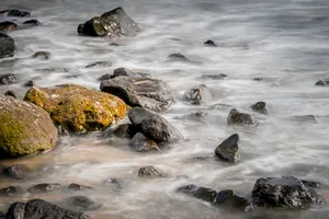 Ocean Waves on Rocky Coastline with Sea Turtle