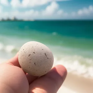 Smooth, Round Pebble with Egg-Like Ball Shape