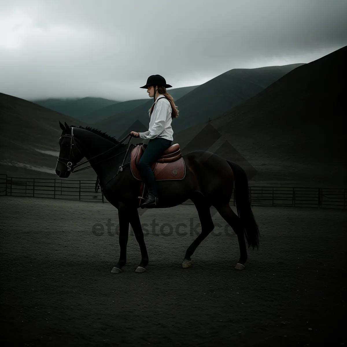 Picture of Dynamic Equestrian Balance on Vaulting Horse