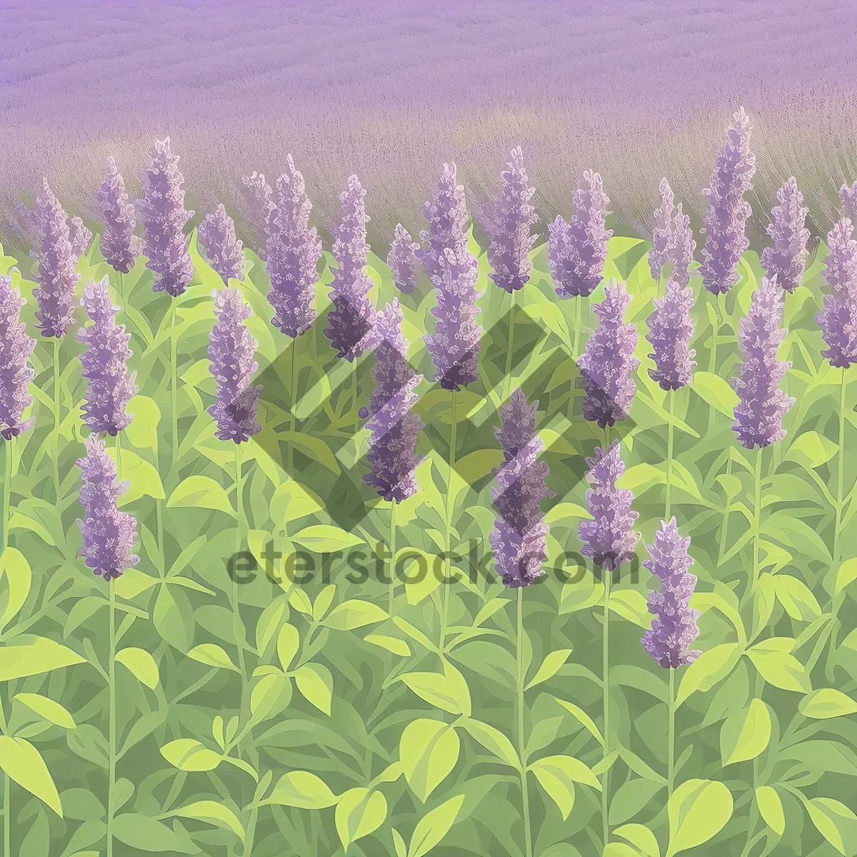 Picture of Burst of Lavender in Wild Meadow