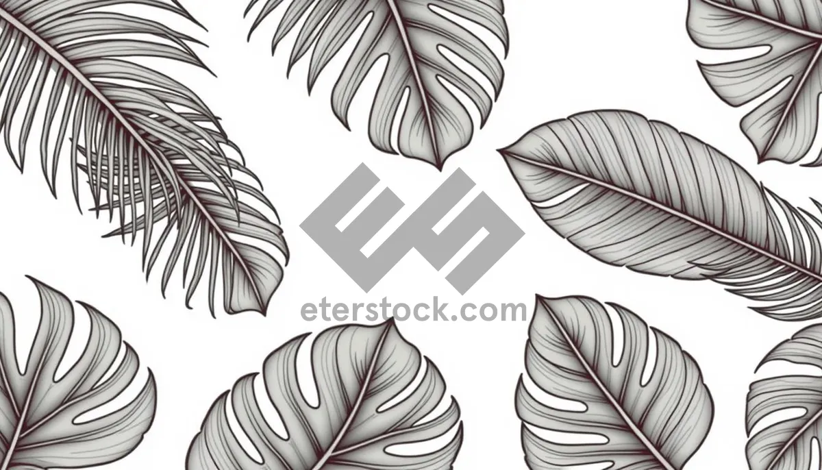 Picture of Black floral pattern design silhouette decoration with leaves.