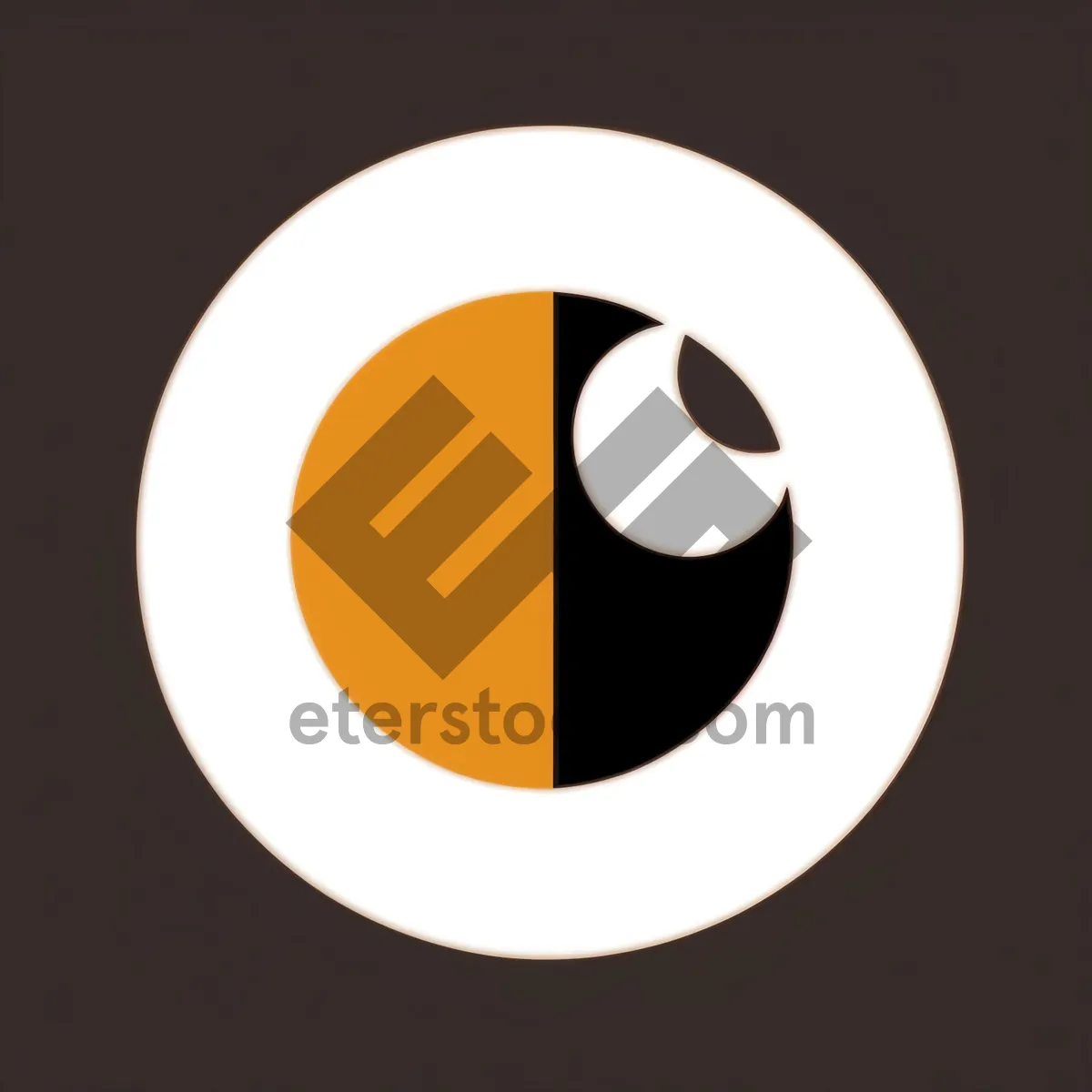 Picture of Black Shiny Round Web Buttons - Set of Iconic Symbols