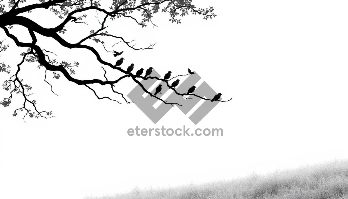 Picture of Silhouette of caribou in winter forest landscape